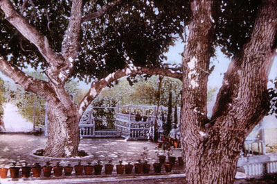 Ridvan garden