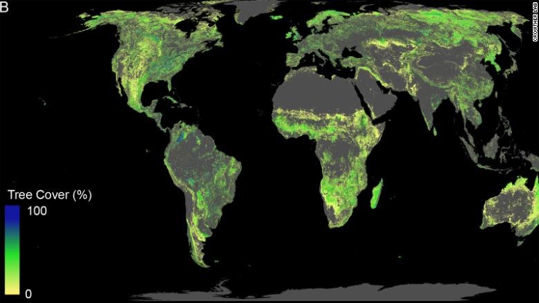 Forest Cover