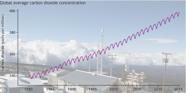 carbon dioxide