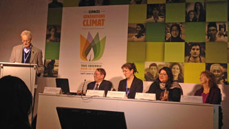 IEF panel