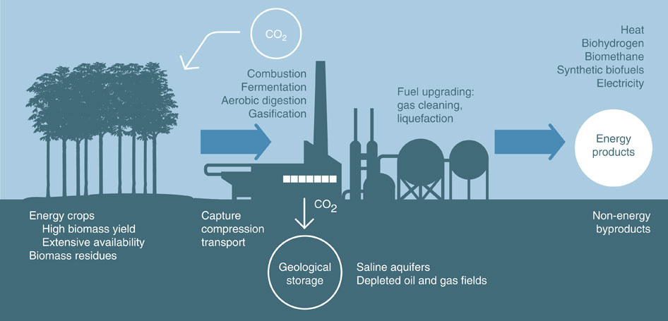 BECCS diagram