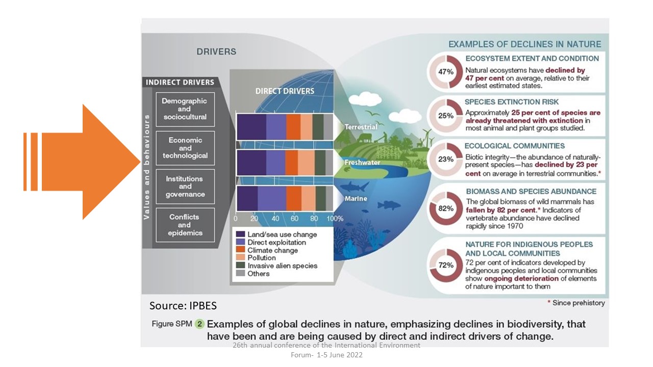 shows drivers of biodiversity loss