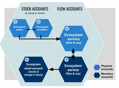 SEEA graphic