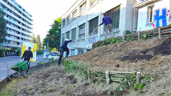 building terraces