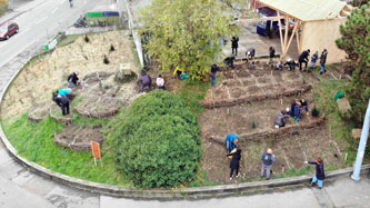 planting other terraces