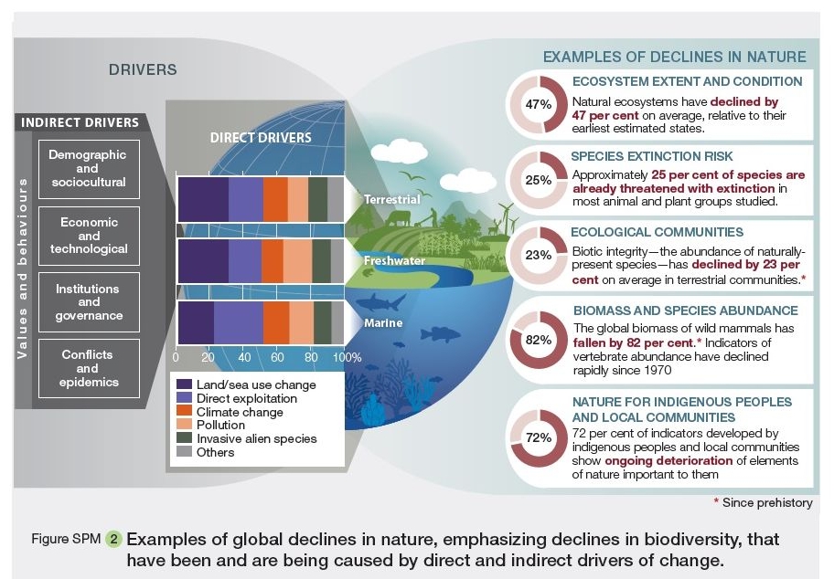 Declines in biodiversity