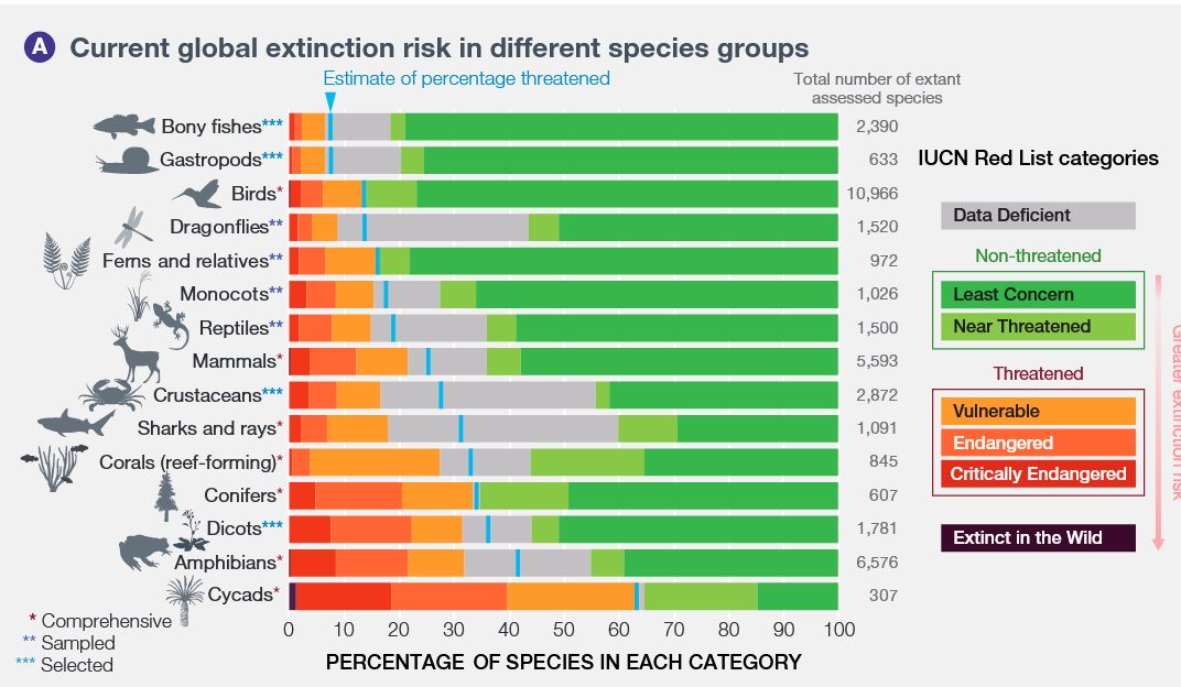 Extinction risk